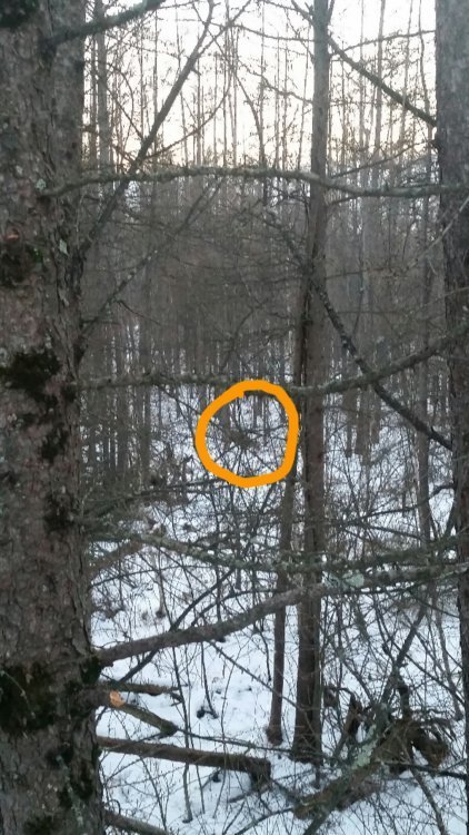 2016-12-28 19.35.46.jpg