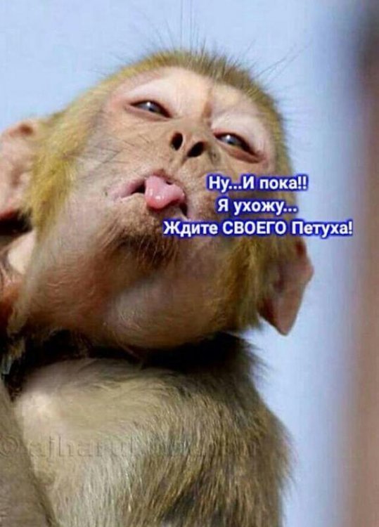 03 (1).01.2017 - 1.jpg