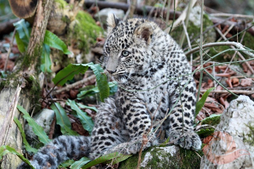 354ab86c9ab913457f30de07ddbdf068 (1).JPG