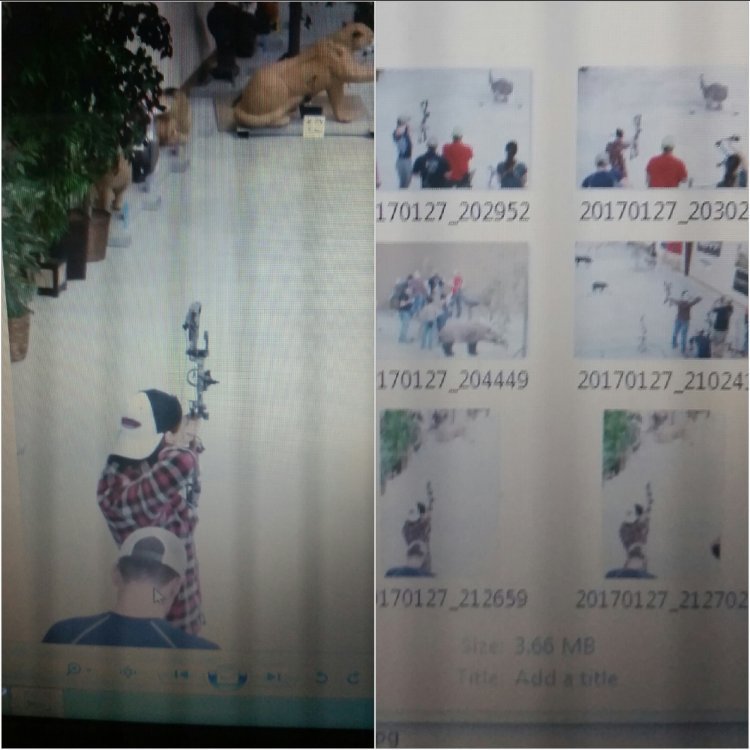 2017-01-29 07.37.48.jpg