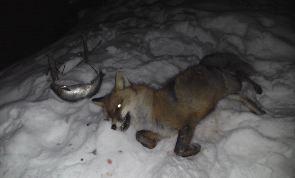 Изображение 007.jpg