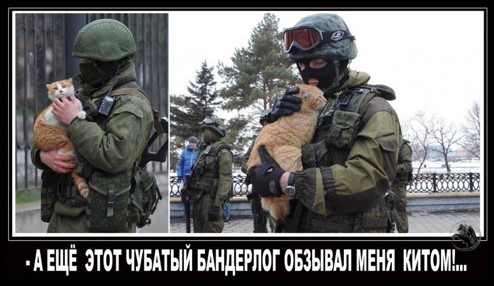 А еще бандерлог обозвал меня китом!  .jpg