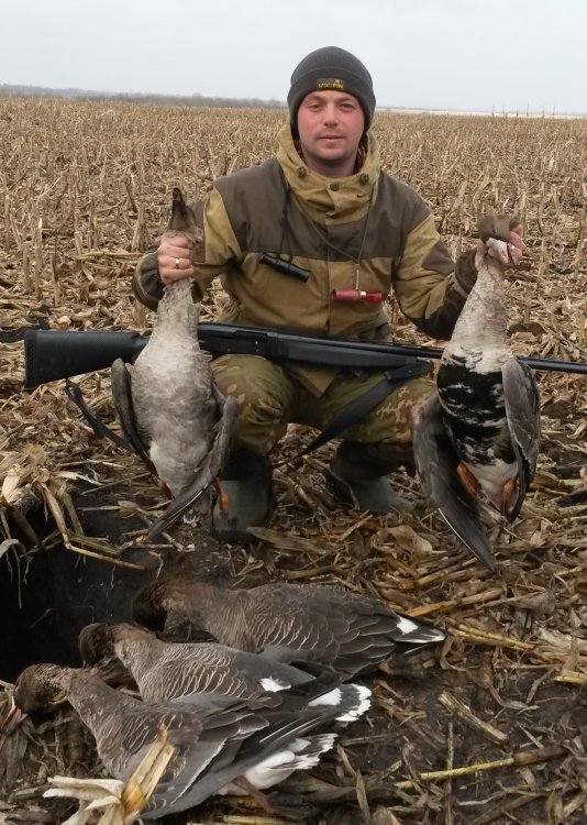 20170409_112728.jpg гуси.jpg