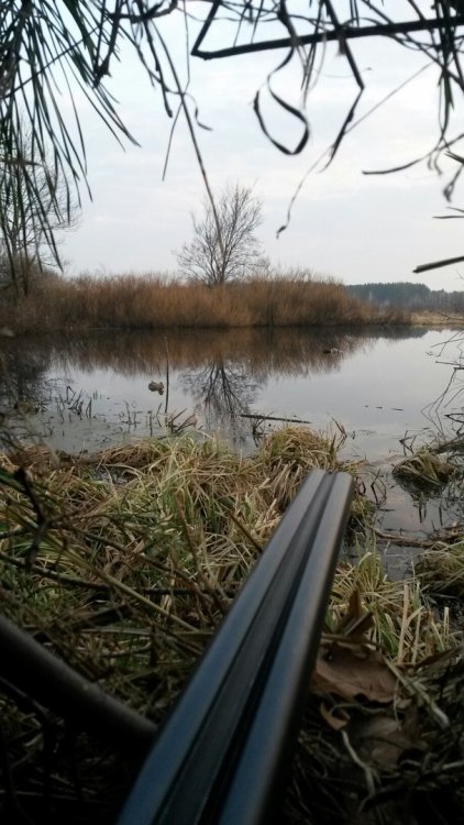 с подсадной.jpg