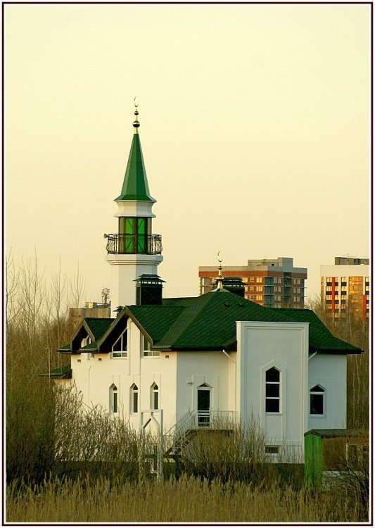 _DSC1568с рамкой.jpg