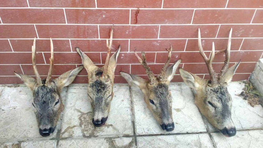 0-02-05-5c2e9c5ced59a201115a0a790229659255e20aecf13863d574e4a43ef25be2dc_full - копия.jpg