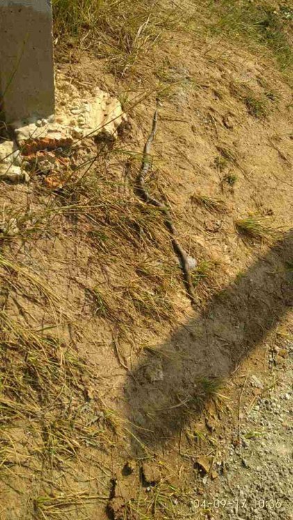 21272347_10214157046459387_6727136265571596896_n (1).jpg