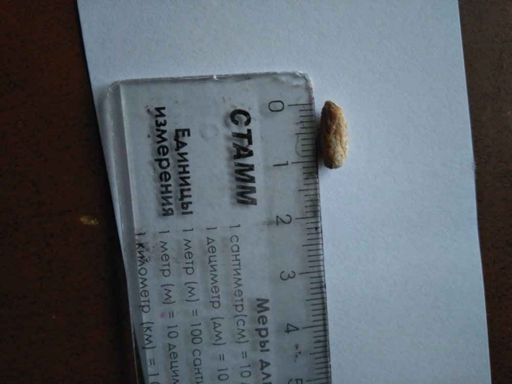 Фото с телефона 703.jpg