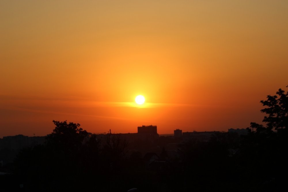 IMG_2554 форум.jpg