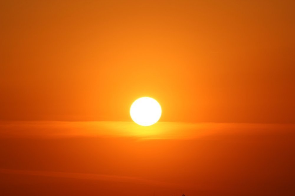 IMG_2555 форум.jpg