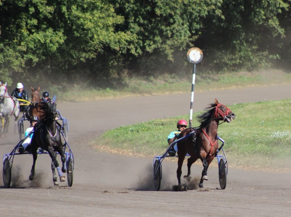 IMG_2649 форум.jpg