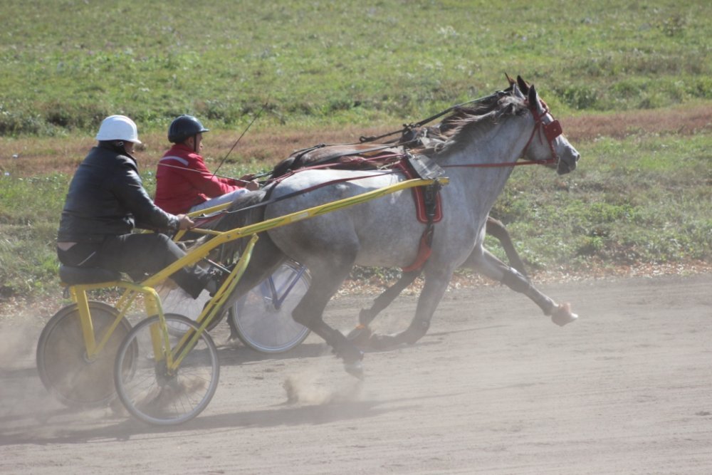 IMG_2657 форум.jpg