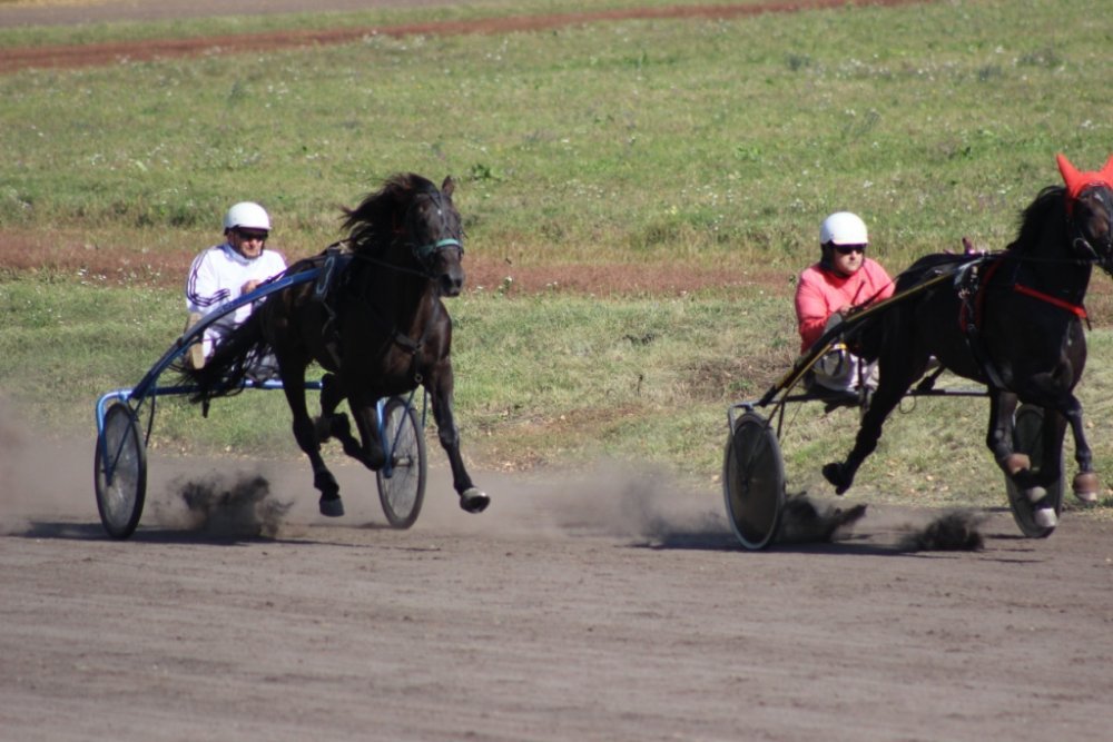 IMG_2714 форум.jpg