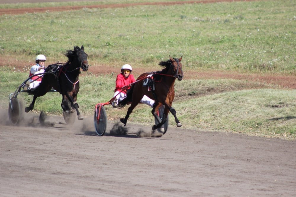 IMG_2760 форум.jpg