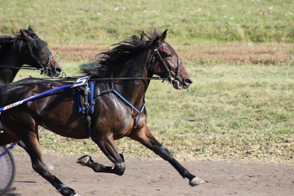 IMG_2982 форум.jpg