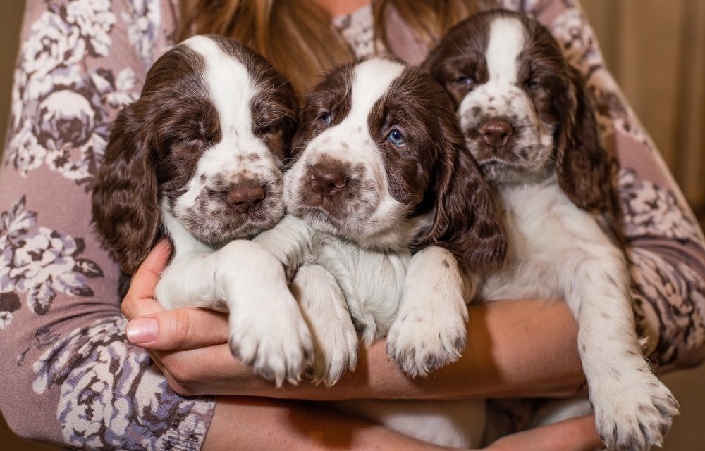 IMG_1501 - копия (2).jpg