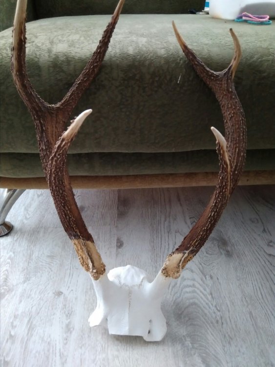 уменьшенное .jpg