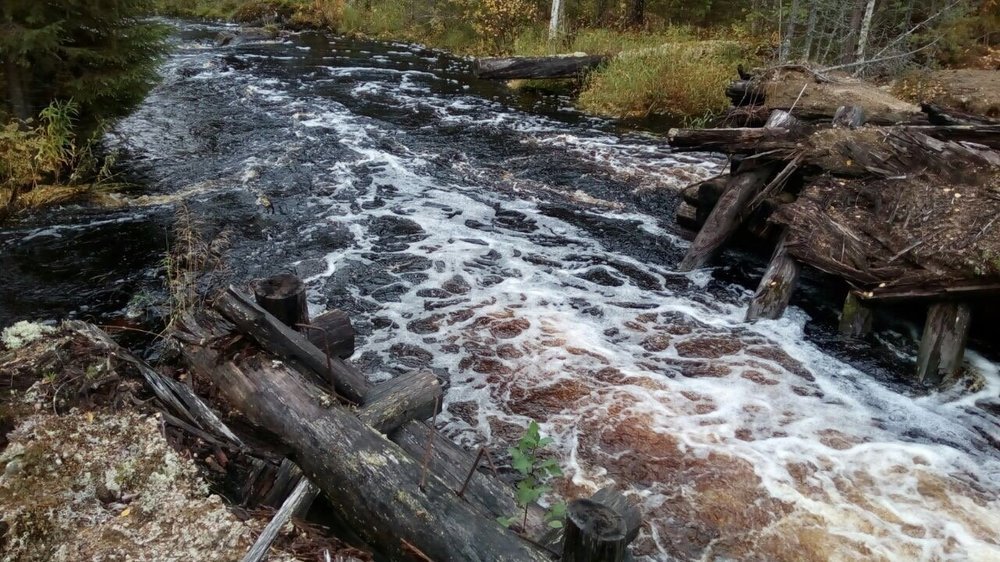 Изображение 002.jpg