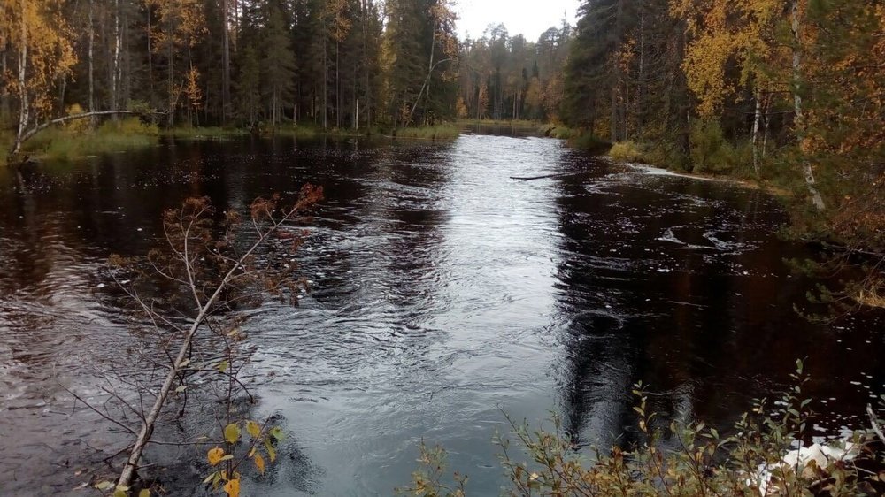 Изображение 001.jpg