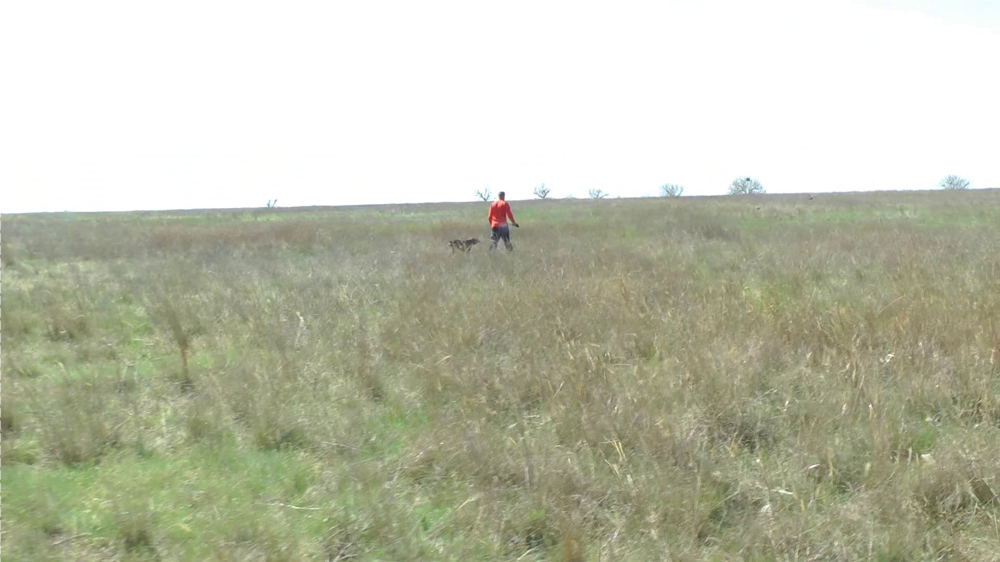 Scene 0 (00.01.21.900).png