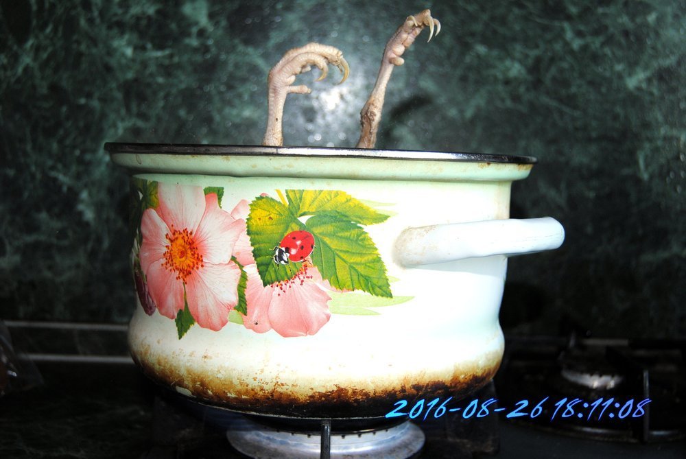 фото (1412)-001.JPG