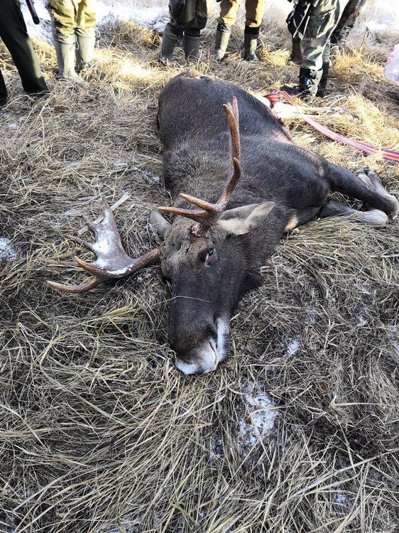 WhatsApp Image 2018-12-01 at 18.18.05.jpeg