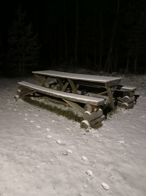 WhatsApp Image 2018-12-01 at 01.33.25.jpeg