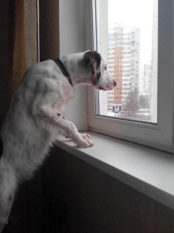 47580112_705647869820869_5572541056618070016_n (1).jpg