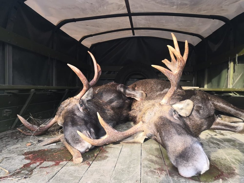 WhatsApp Image 2018-12-01 at 18.18.04(1).jpeg