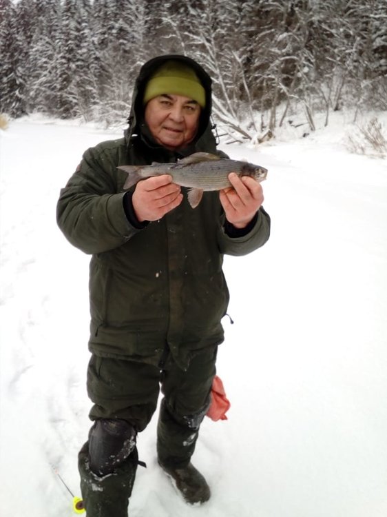 IMG-20190111-WA0006 (2).jpg