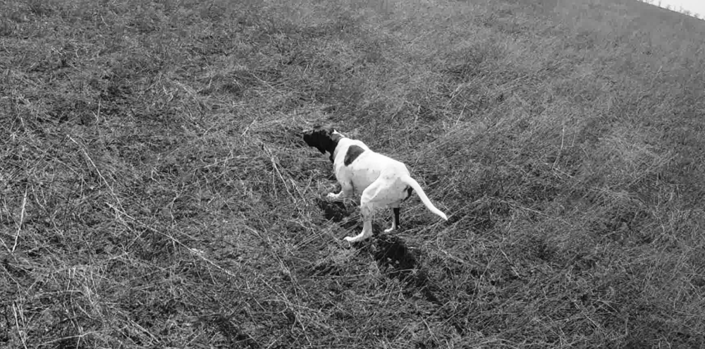 FHD0038_1 (00.01.25.600).png