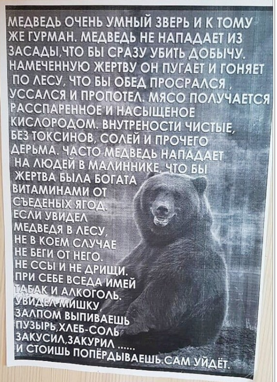 Снимок экрана (2058).png