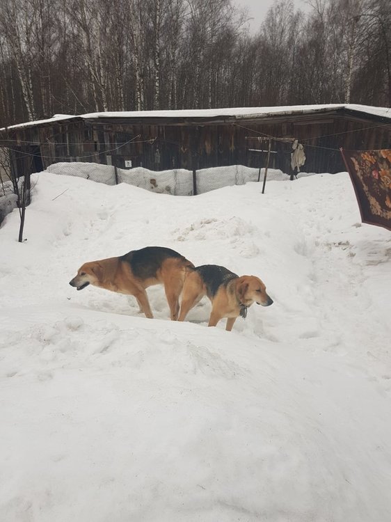 WhatsApp Image 2019-03-10 at 22.05.39.jpeg