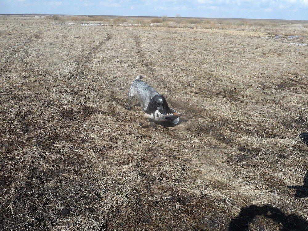 бери пока живой Я сча еще принесу.jpg