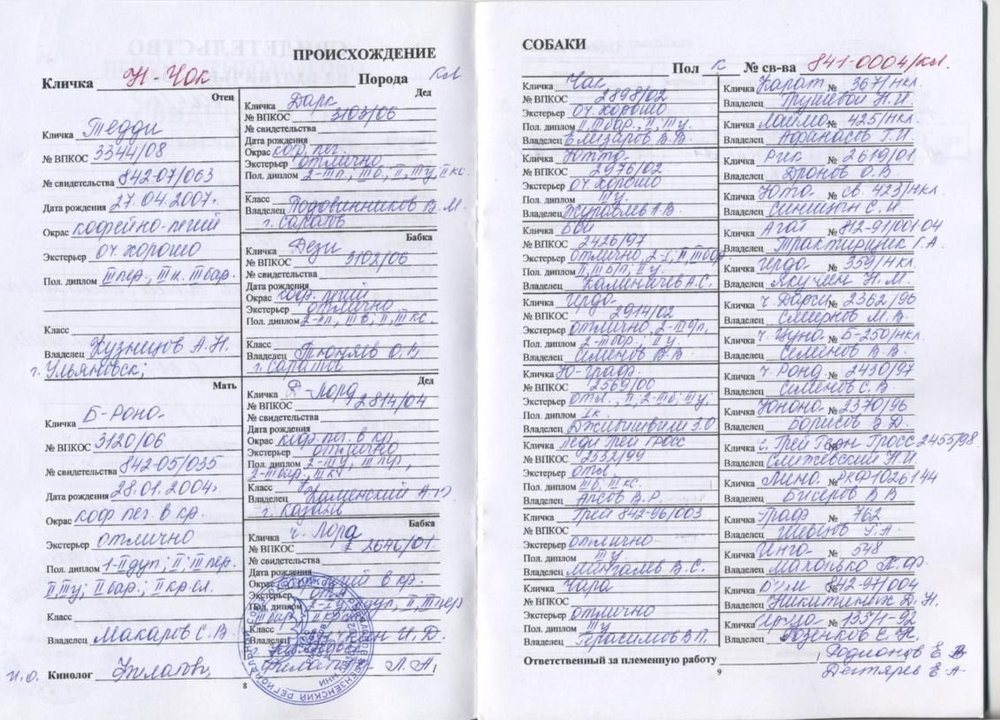 Документы кобеля.jpg