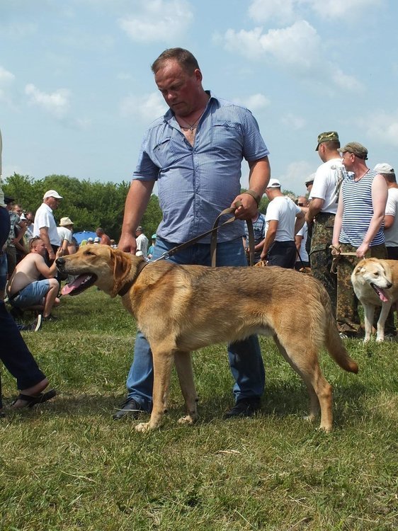 image-2019-06-15 16_17_07.jpg