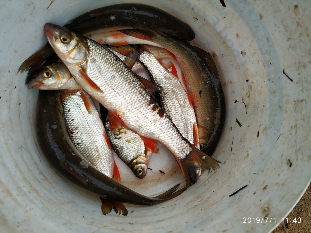 IMG_20190701_114310 (1).jpg