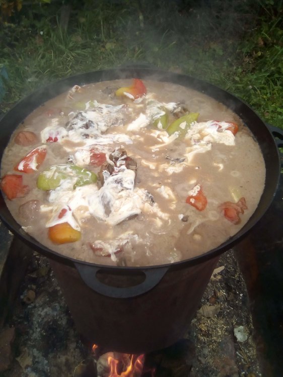 Путь хомячка 06.jpg