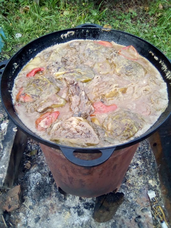 Путь хомячка 08.jpg