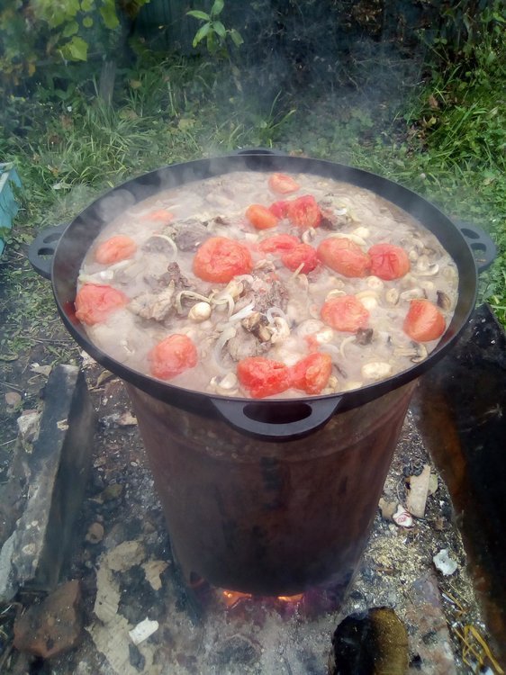 Путь хомячка 04.jpg