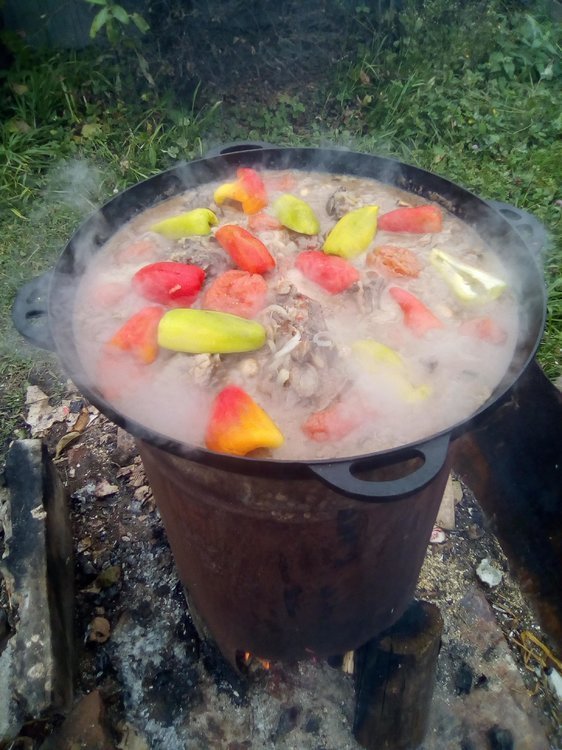 Путь хомячка 05.jpg