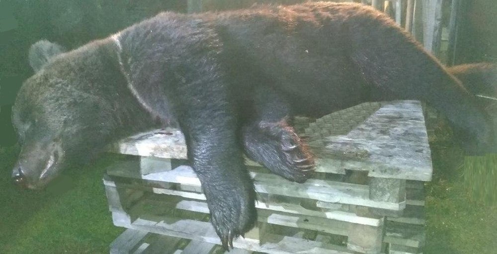 IMG_20190920_223655 (1).jpg