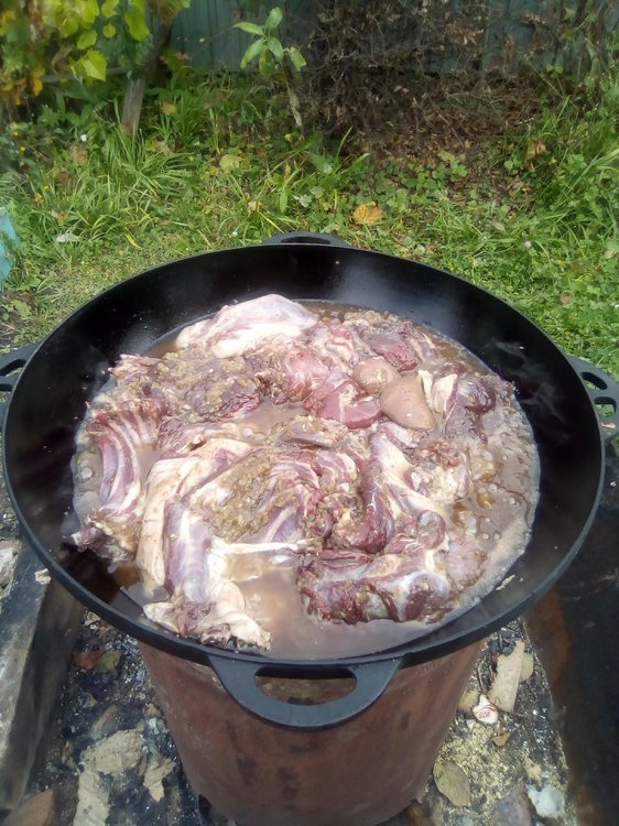 Путь хомячка 03.jpg