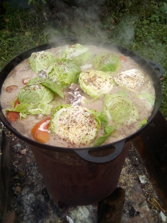 Путь хомячка 07.jpg