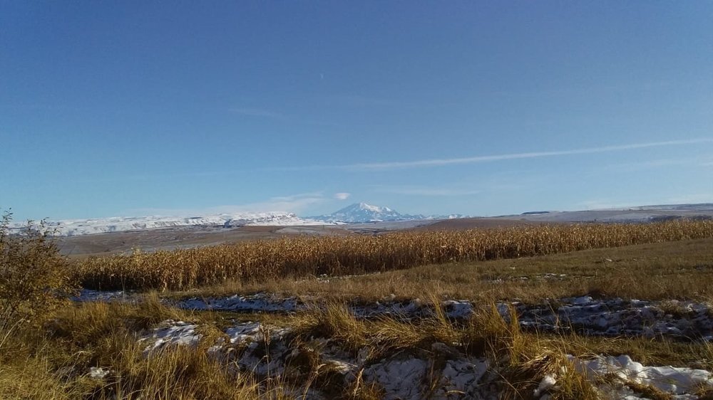 10.11.2019г 036.jpg