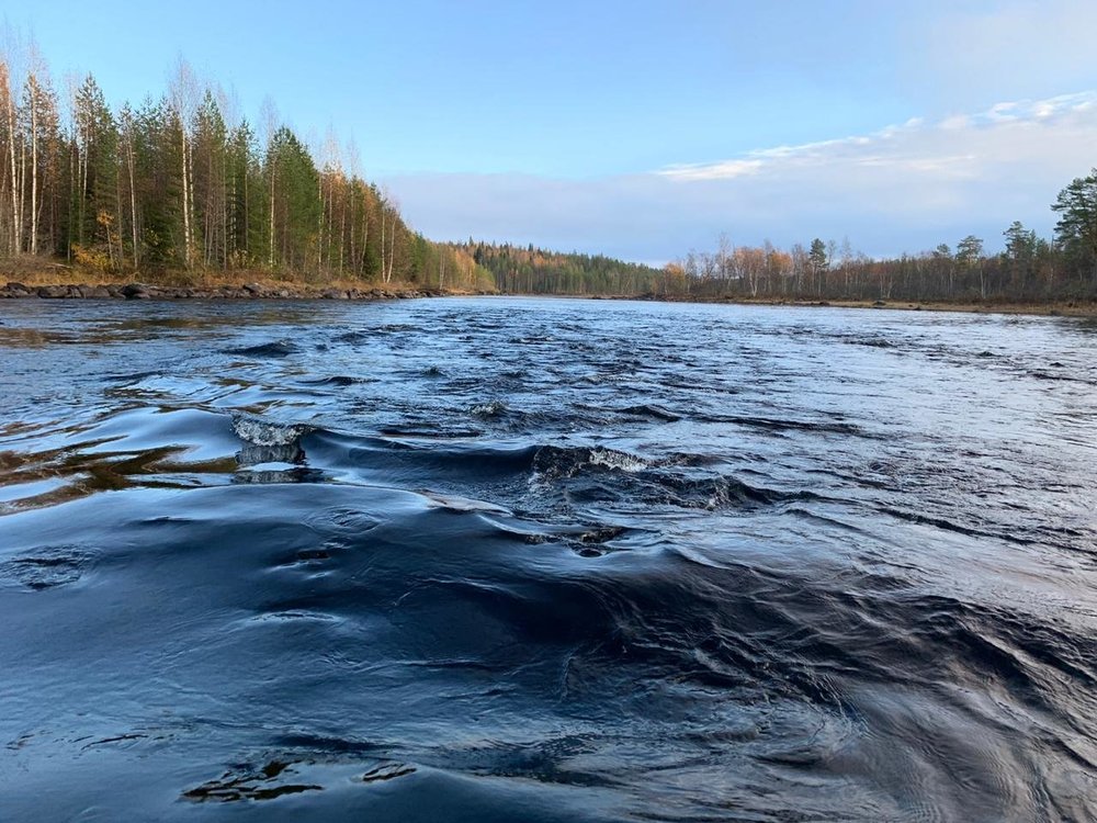 IMG-20191103-WA0011 (1).jpg