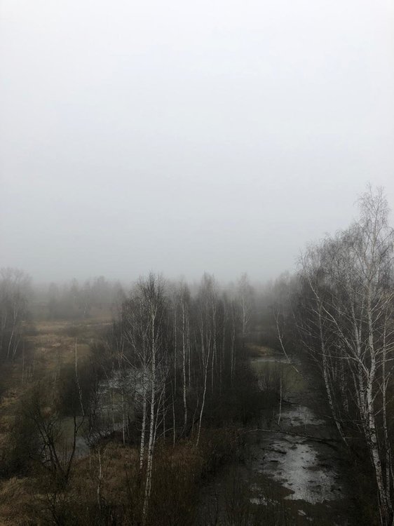 WhatsApp Image 2019-12-27 at 11.24.22.jpeg