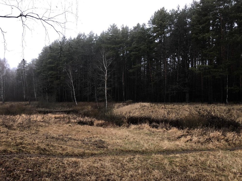 WhatsApp Image 2019-12-27 at 11.24.23(1).jpeg