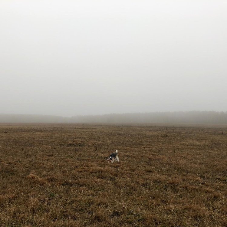 WhatsApp Image 2019-12-27 at 11.24.24.jpeg