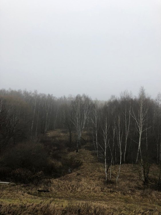 WhatsApp Image 2019-12-27 at 11.24.23.jpeg